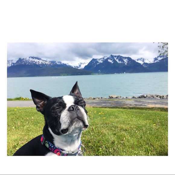 Welcome to my Closet! - Picture 2 of 5